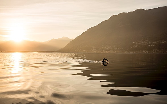 Bei seiner Expedition nach Mailand anlässlich der Weltausstellung 2015 durchschwimmt Wasserbotschafter Ernst Bromeis den Lago Maggiore; auf diesem Foto sehen wir ihn kurz nach Sonnenaufgang im Kraulstil.