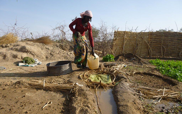 Eine Frau bewässert ihr Gemüsebeet im Département Biltine in der tschadischen Sahelzone.