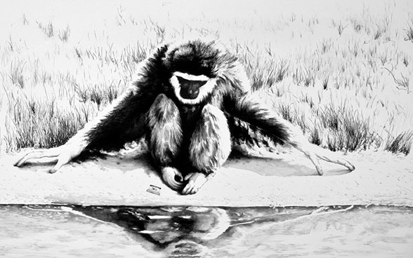 Ein Affe sitzt am Wasserrand und betrachtet sein Spielgelbild im Wasser. 