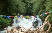 Wood piling up in a river.