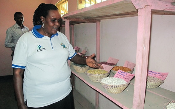 Eine Bäuerin erklärt die Eigenschaften verschiedener Bohnensorten, die in der Saatgutbank in Kiziba auf einem rosa Gestell gelagert werden. 