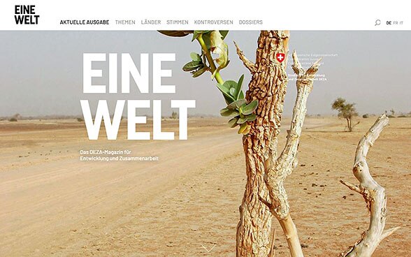 Screenshot der neuen online Plattform von «Eine Welt».