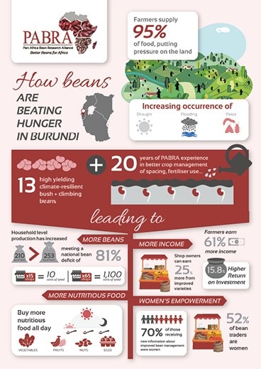 Infographic on the PABRA project in Burundi.
