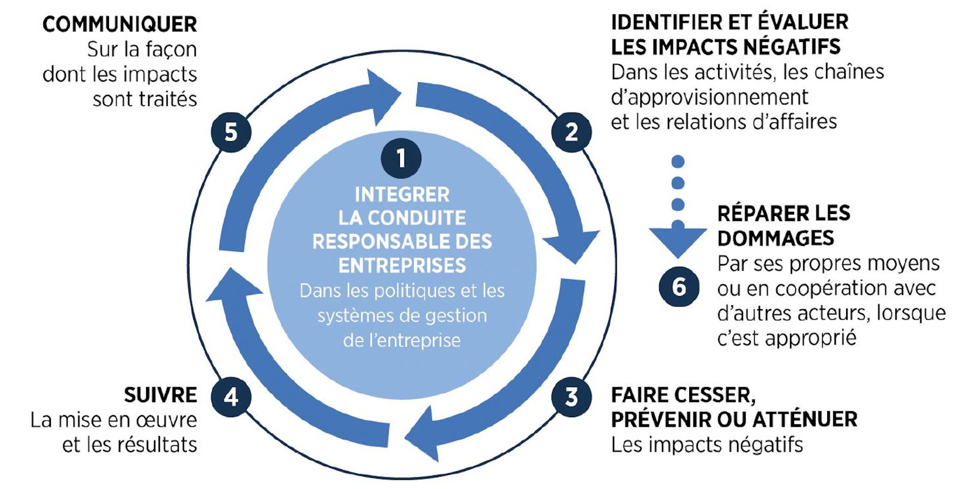 Un graphique de forme circulaire détaille les six étapes que les entreprises doivent suivre pour adopter une conduite responsable.