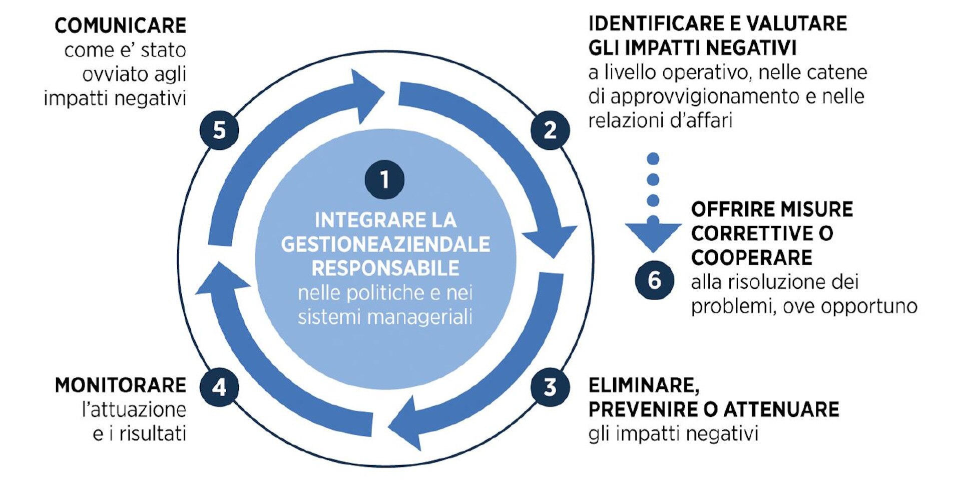 Un grafico circolare illustra le sei fasi che le aziende devono fare per adottare un comportamento responsabile.