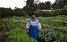 On food and mountain agroecology