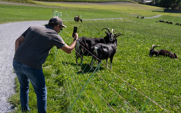 Sandro Didebashvili taking a picture of a goat.