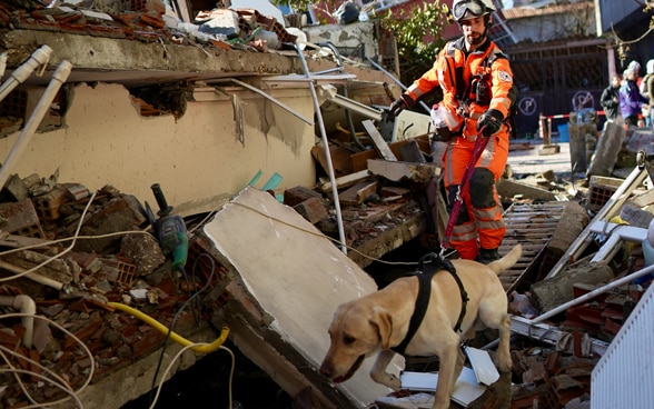 Ein Hundeführer in orangenen Kleidern führt seinen Suchhund über die Trümmer eines eingestürzten Hauses.
