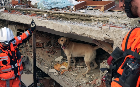 Drei Mitglieder der Rettungskette stehen vor Trümmern eines eingestürzten Hauses. Ein Hund steht auf einem Trümmerteil.