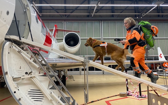 Eine Frau geht mit einem Hund über eine Rampe in ein Flugzeug.