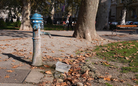 Una fuente en un parque en Zagreb.