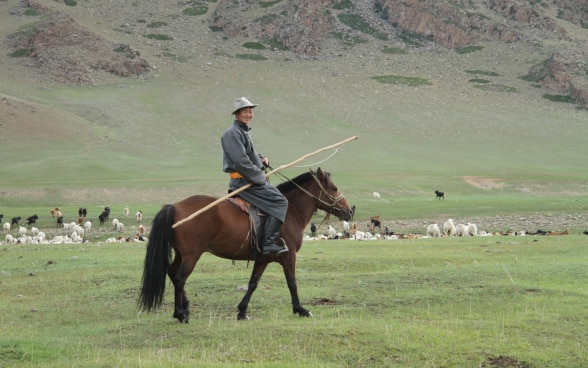 Mongolischer Hirte auf seinem Pferd.