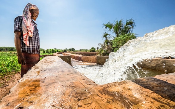 The picture shows a man standing in front of a water canal in the blazing sun.