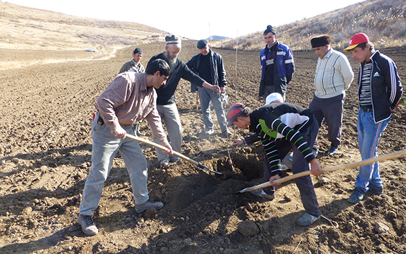 Des paysans tadjiks mettent un plant en terre en suivant les instructions d'un formateur.