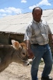 Un fermier arménien avec son veau