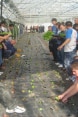 Scuola agraria a Pristina, progetto "Vocational Education Support Project" 2011