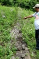 A man standing next to a stone wall less than one metre high built in a cultivated field.