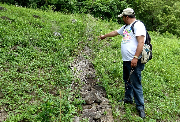 A man standing next to a stone wall less than one metre high built in a cultivated field.