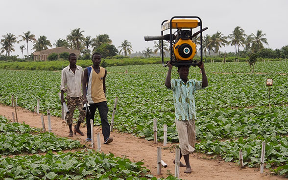 Appui à la petite irrigation © DDC Niger