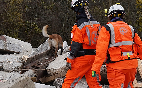 Deux membres de la Chaîne suisse de sauvetage et un chien sur une ruine. 