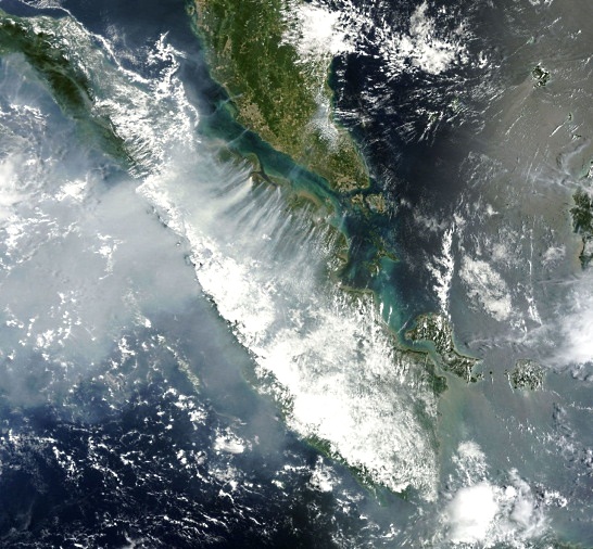 Satellite image showing plumes of smoke rising from forest fires over Sumatra.