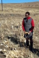 Altext : Deux experts et un agriculteur locaux dans un champ de maïs ravagé par la sécheresse. 