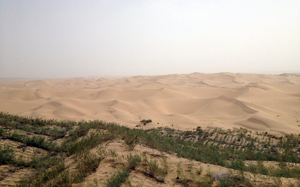 A desert landscape in the northern Chinese province of Ningxia. 