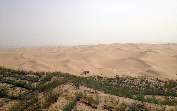 Eine Wüstenlandschaft in der nordchinesischen Provinz Ningxia.