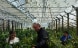 Three people in a greenhouse.