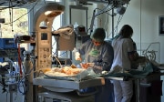 Personnel médical soignant des nouveaux-nés dans un service néonatal en Lituanie