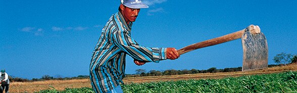 Agriculteur en train de travailler un champ de maïs au Nicaragua