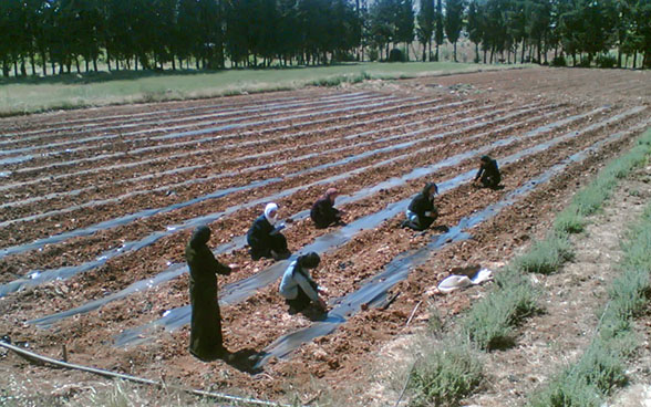Women working in a school field. 