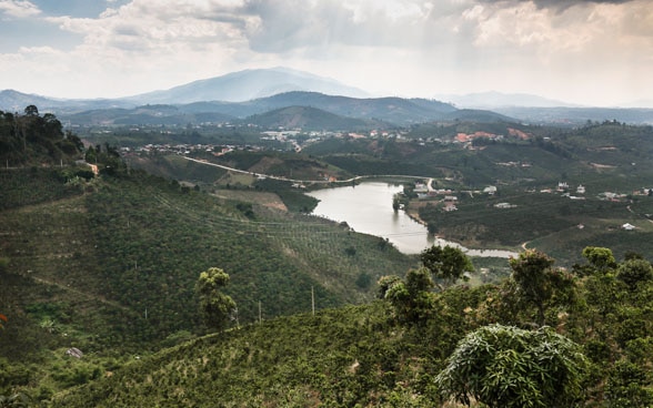 Srepok River, Vietnam. Efficient water use in coffee production.