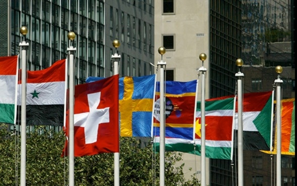 Flags of various nations blow in the wind in front of a skyscraper – the headquarters of the United Nations in New York.