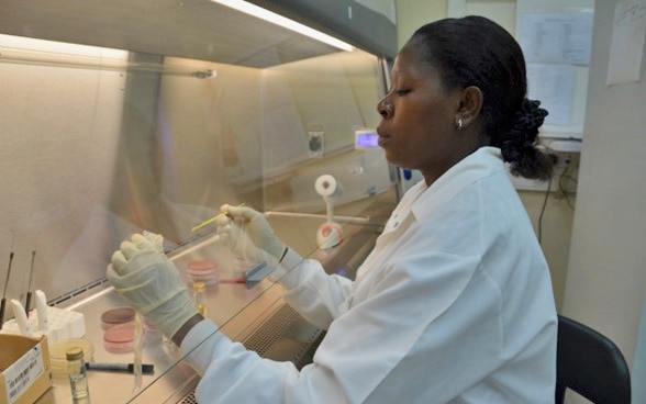 Eine Forscherin an der Arbeit in einem Labor in Kisumu, Kenya.