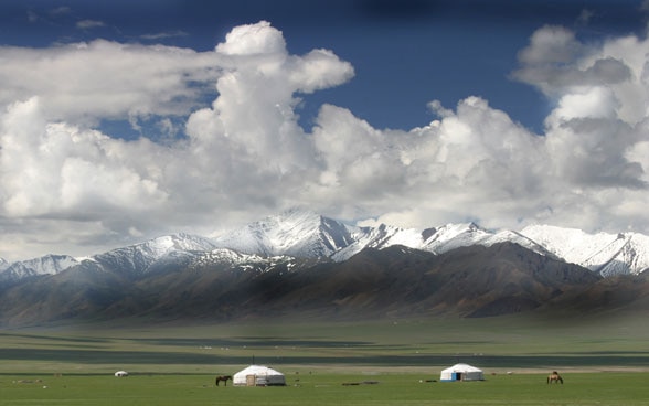 Weideland in der Mongolei