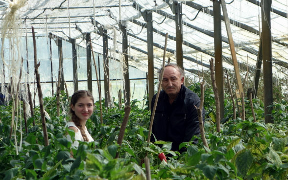Das Bild zeigt Medea und ihren Lehrer zwischen Peperoni-Pflanzen im Gewächshaus der Berufsschule von Senaki.