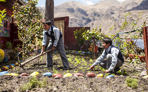 Two boys work on a vegetable plot.