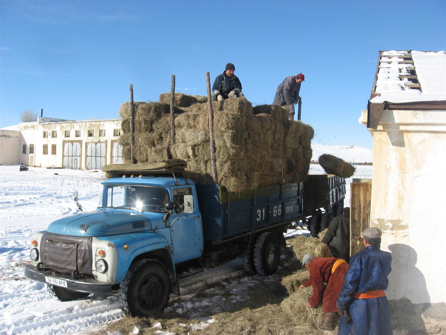 Men unloading bales of hay from a truck.
