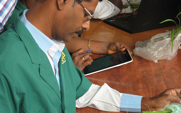 Ein indischer Pflanzendoktor bei einer Recherche auf einem Tablet.