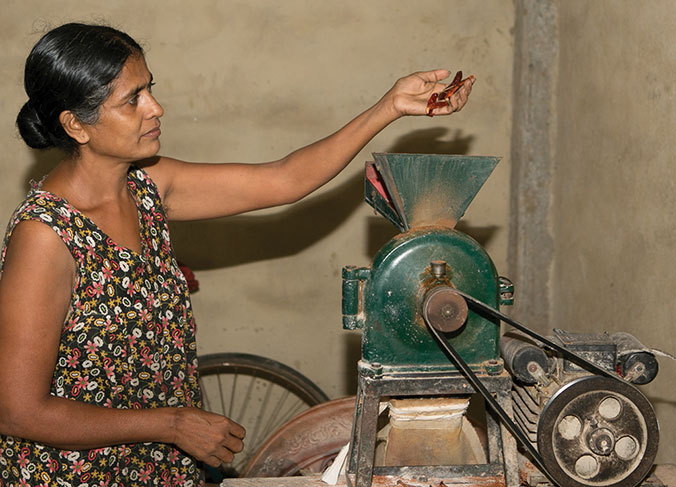 Sriyani a fait de la mouture d’épices une nouvelle activité après que le tsunami a détruit le moulin à riz qu’elle possédait avec son mari. Le couple a trois enfants qui sont aux études, de quoi faire entrevoir à Sriyani le futur avec réjouissance. © R.H. Samarakone/DDC