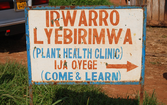 Reklameschild für eine Pflanzenklinik mit der Aufschrift «come and learn».