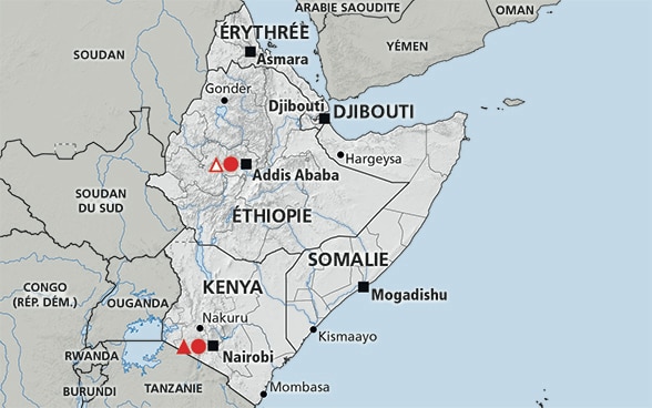  djibouti et le yemen