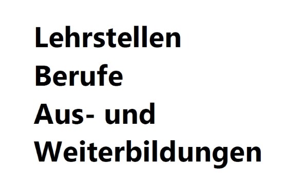 Logo: Schwarz auf weiss steht geschrieben «Lehrstellen, Berufe, Aus- und Weiterbildungen.