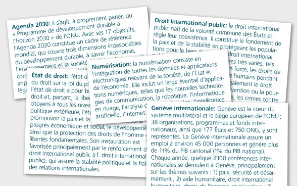 Un échantillon de différentes entrées du glossaire des stratégies du DFAE sont présentées dans cinq encadrés.