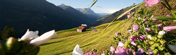 about switzerland tourism