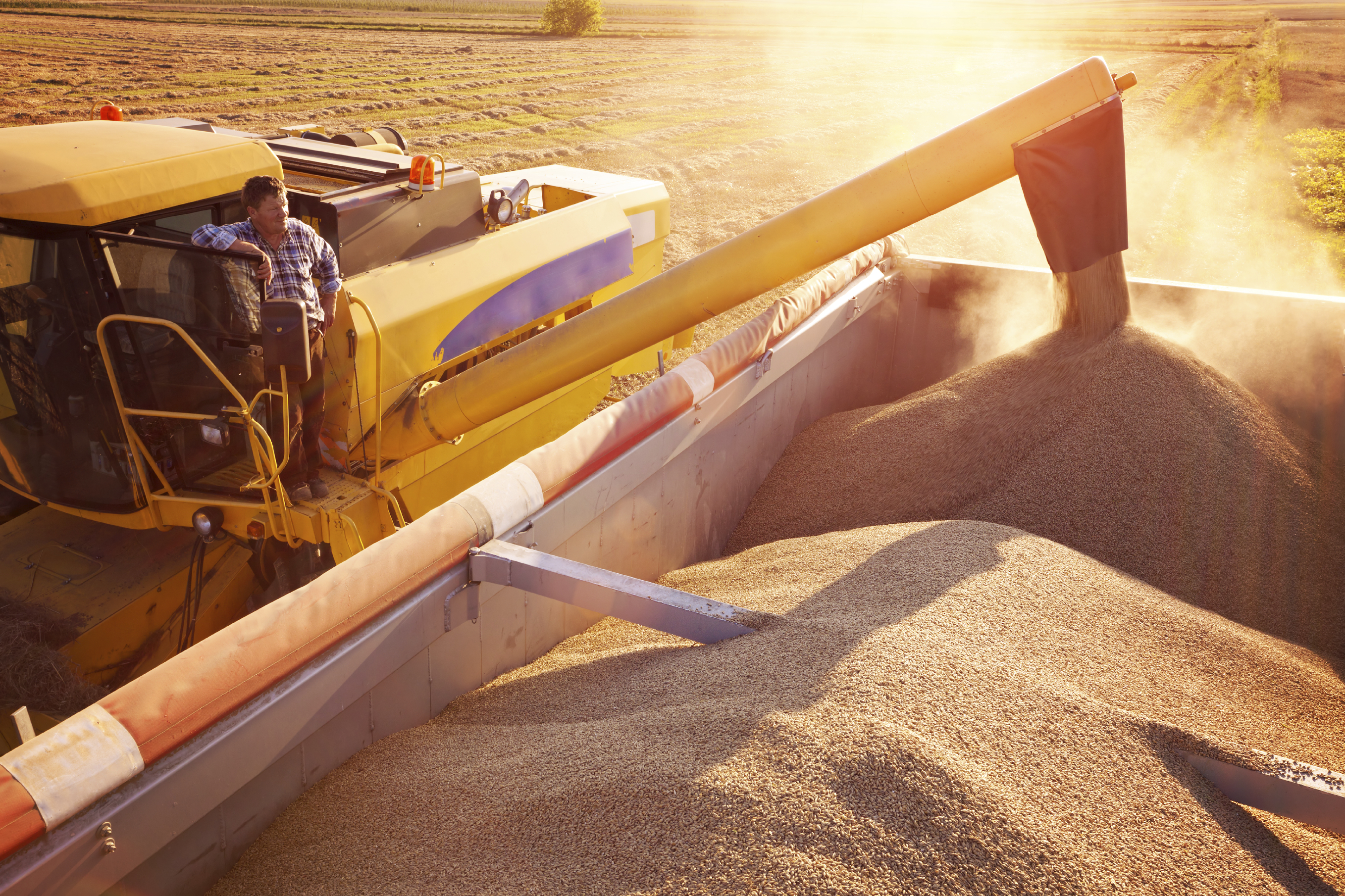 Une machine de chantier remplit une benne de graviers. 