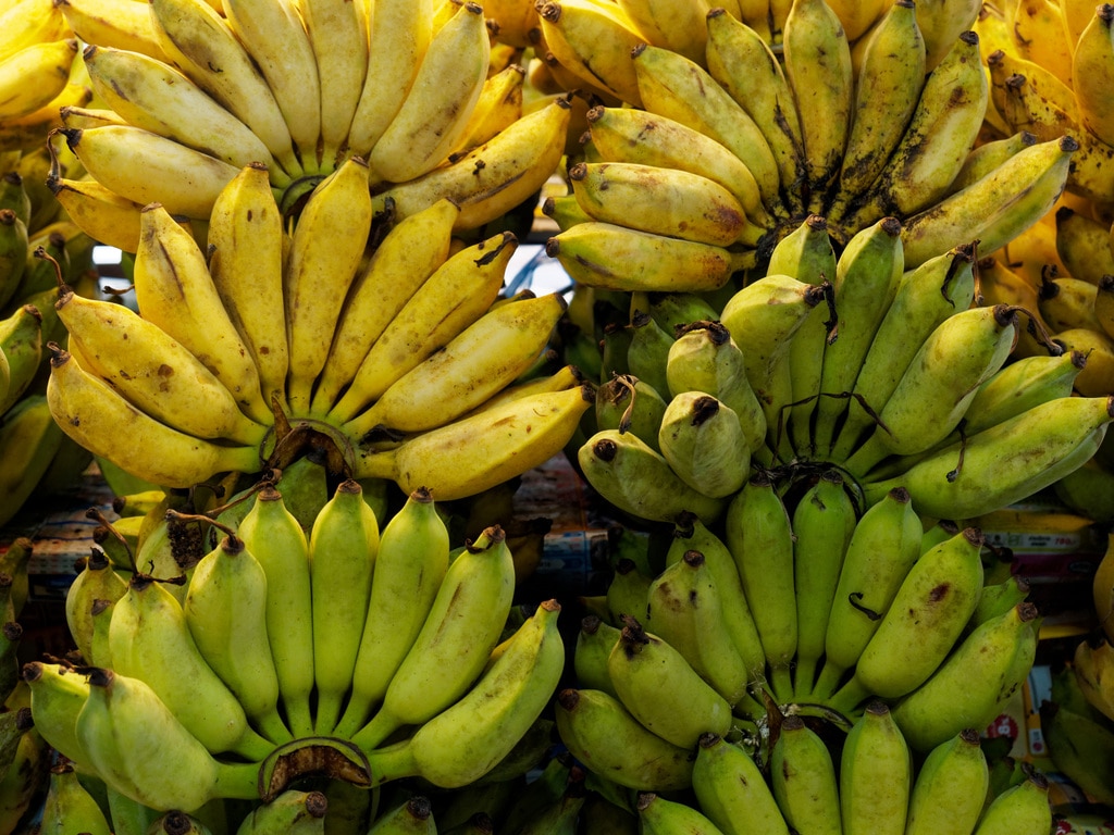 Cosy Nature - Banane pour Femme
