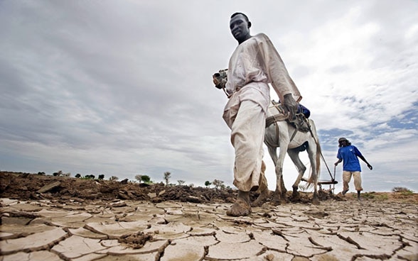 Un africano e un’africana arano un terreno inaridito con un mulo.