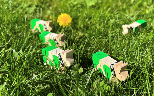 Les miniatures de Green Lilly apprécient les espaces verts de Berlin. 